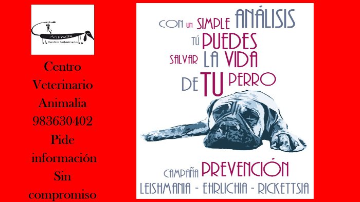 promociones
