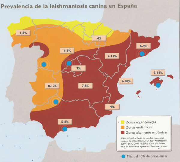 Desparasitación externa