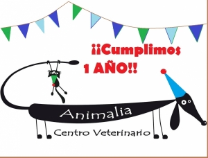 Cumpleaños Animalia