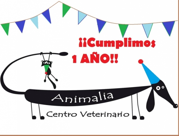 Cumpleaños Animalia